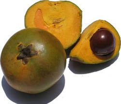 Lucuma Powder